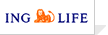 ING����